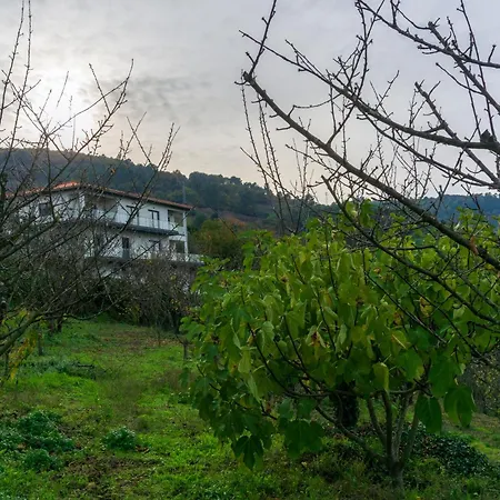 Cherry Douro Hill Ferienhaus Resende