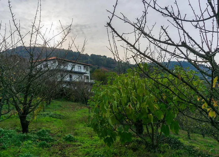 Cherry Douro Hill Prázdninový dům Resende