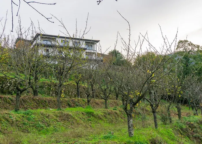 Ferienhaus Cherry Douro Hill *