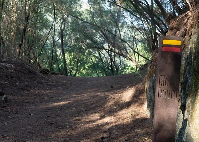 Cherry Douro Hill Prázdninový dům Resende