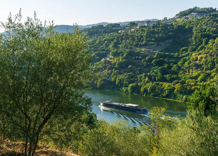 Prázdninový dům Cherry Douro Hill